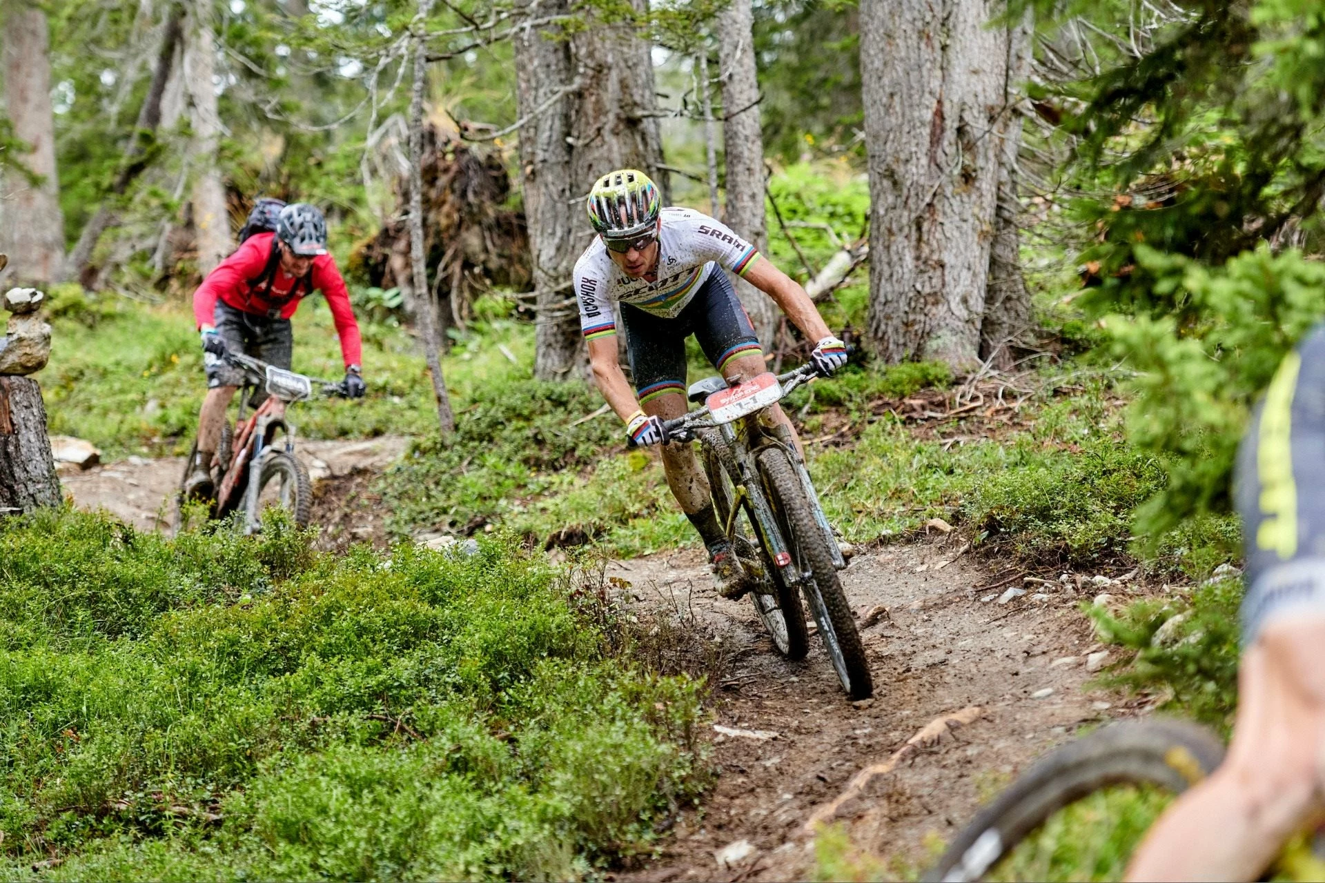 Page de garde -Pièces BMX Race Soldes 118158830 10158293449330211 1040984742020786806 n