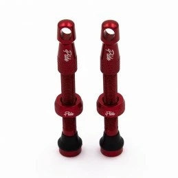 Marque Valves Tubeless Pride Racing 44Mm 4 Marque Valves Tubeless Pride Racing 44Mm – Image 2
